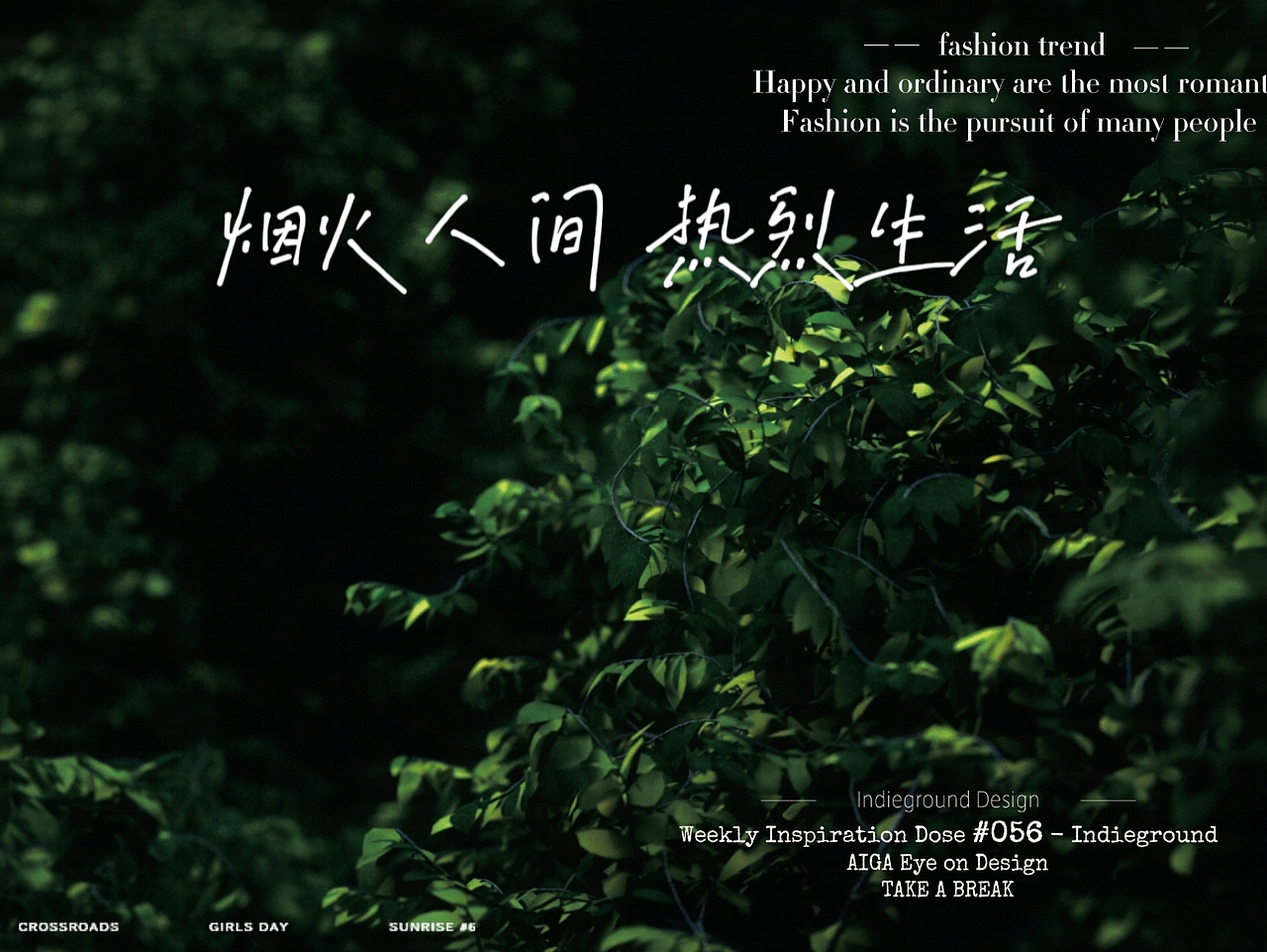 树叶渲染加排版设计