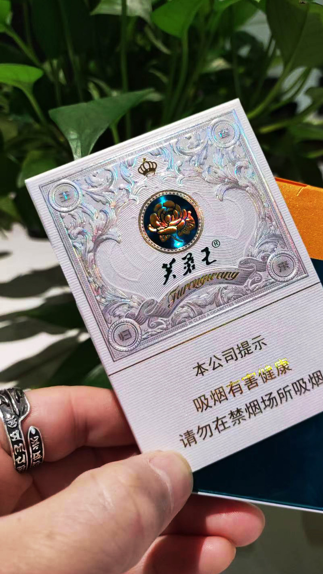 芙蓉王王者归来
