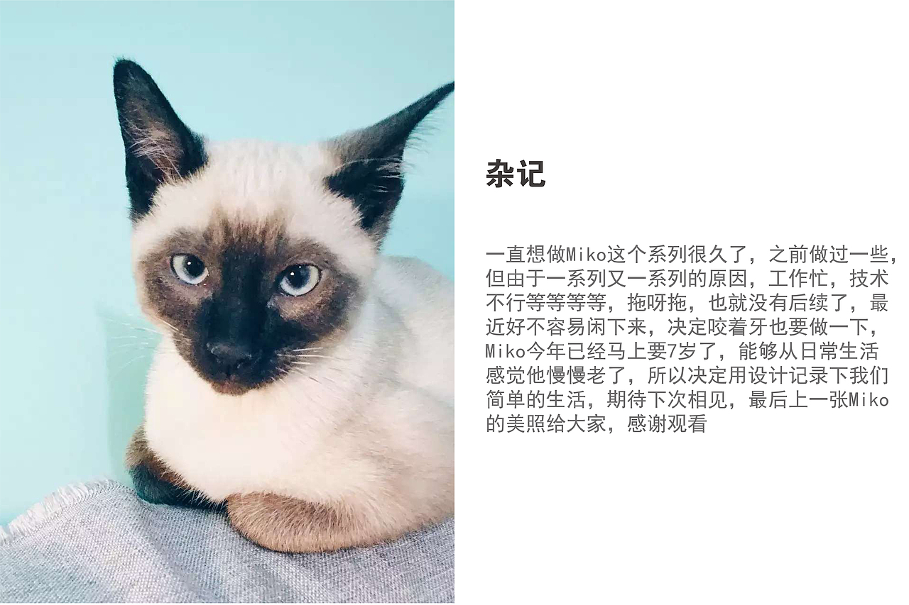 《Miko和我们》设计记录生活（一）（图ZMjk4MjAzNzQ0） - IP形象 - 站酷设计师李逍遥Ly原创素材 - 站酷ZCOOL