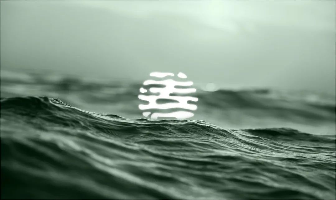 【醒狮】- 中国首款善文化白酒品牌