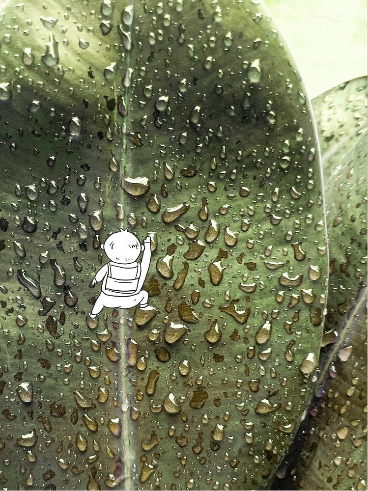 一场雨丨秋日插画 13（图ZMzIwNjQ2NjM2） - 艺术插画 - 站酷设计师画画的大椿原创素材 - 站酷ZCOOL