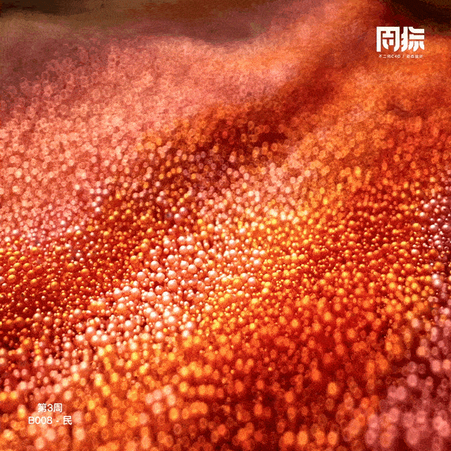 动态周练丨第3周优秀作品