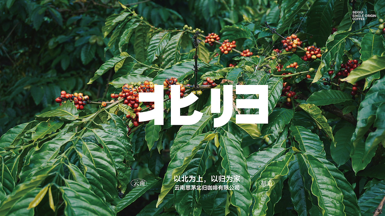 北归咖啡品牌设计（图ZMzQxOTY3Mzk2） - 包装 - 站酷设计师SEAN_VISION原创素材 - 站酷ZCOOL