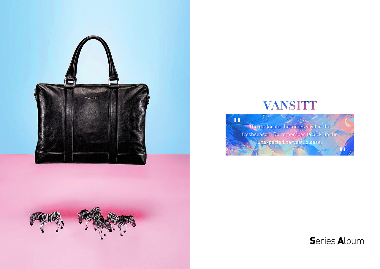 VANSITT-2021年度炫彩世界品牌画册