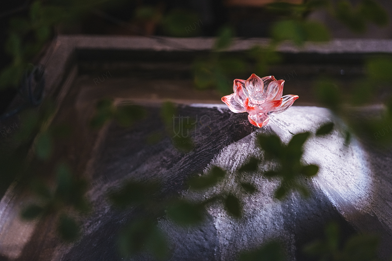 林宇号-茶空间体验馆（实景）