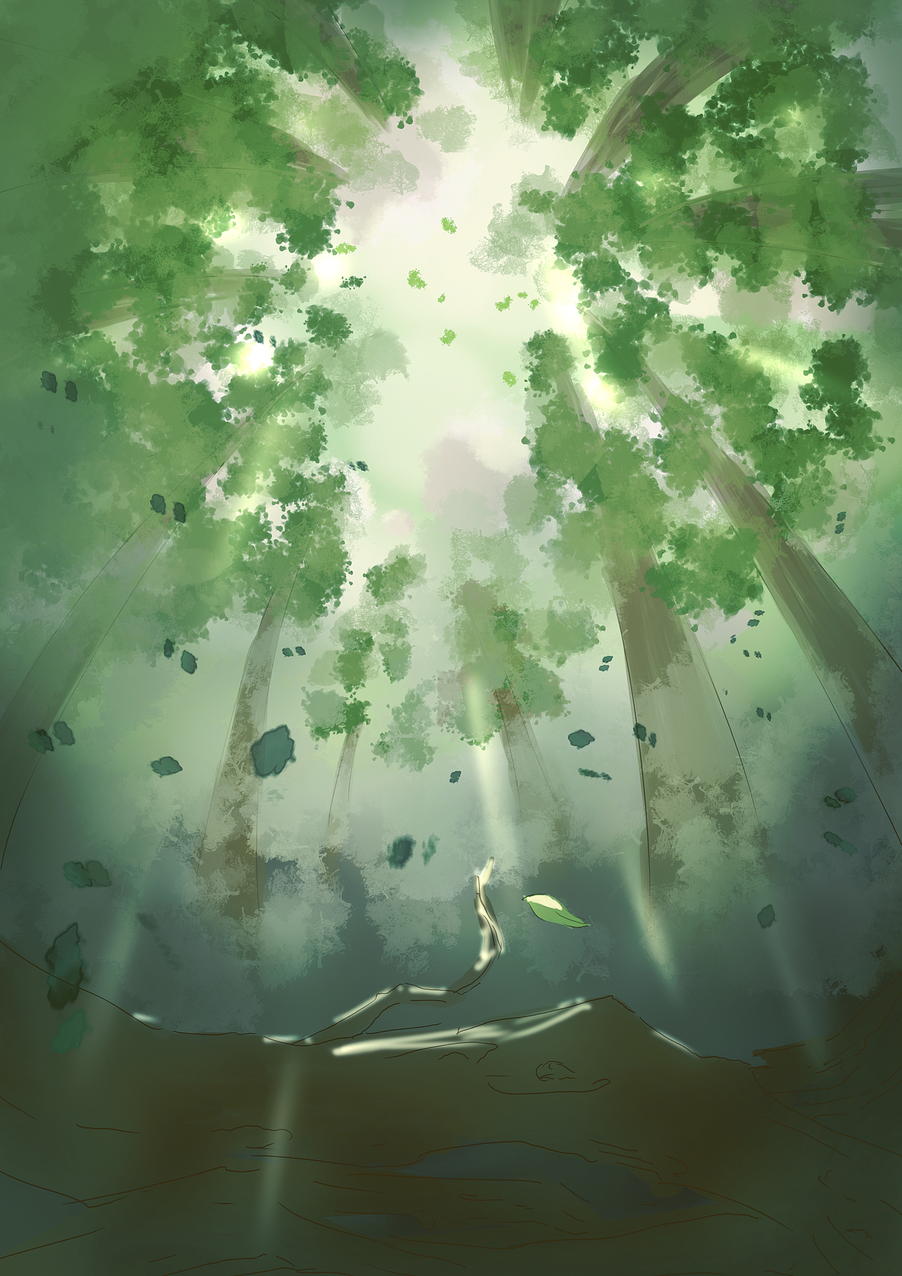 【画师繁星3.0】第一期第三周(第三段)作业