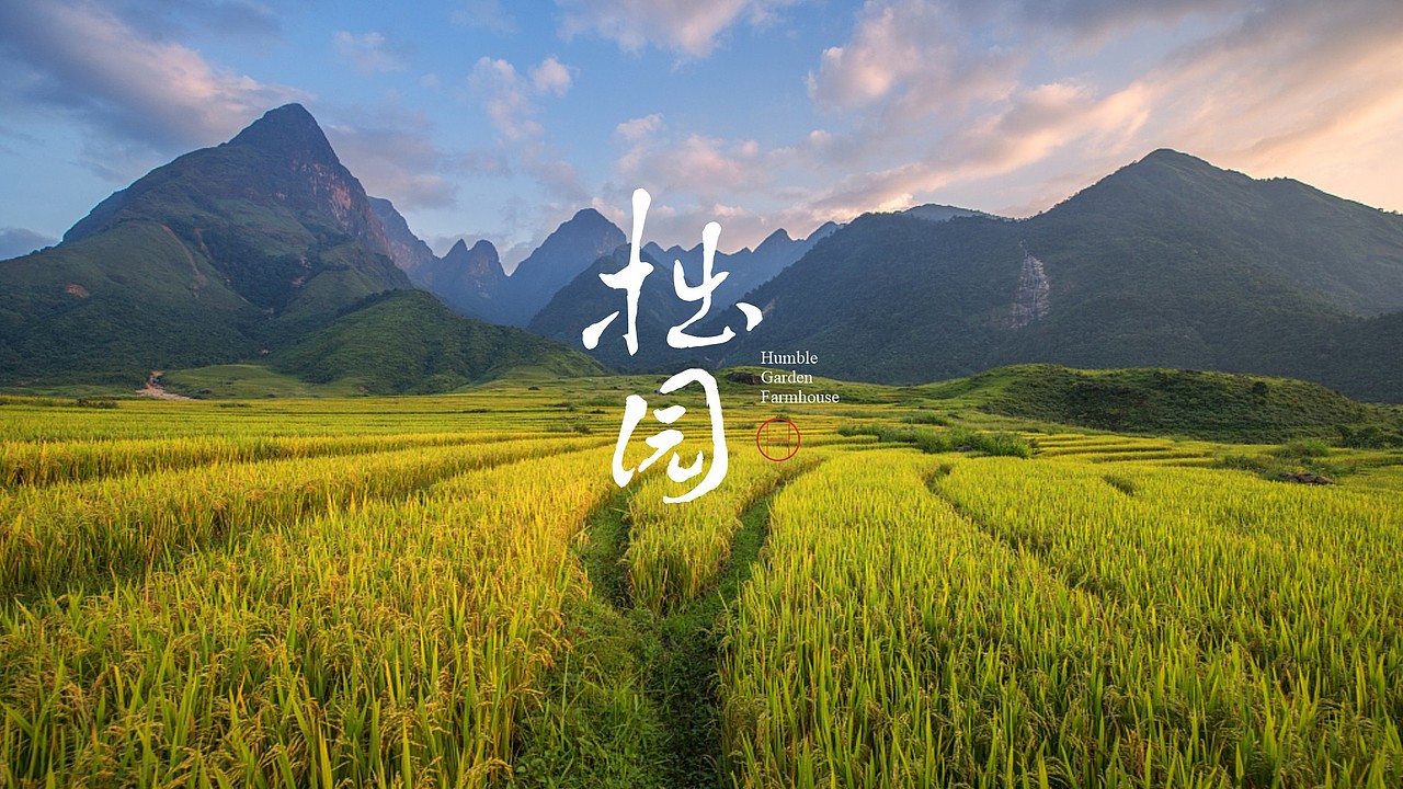 一组字体LOGO设计 | 鹤鸣道养生活中心业态体系logo（图ZMzQzMzk1MzEy） - Logo - 站酷设计师许森然原创素材 - 站酷ZCOOL