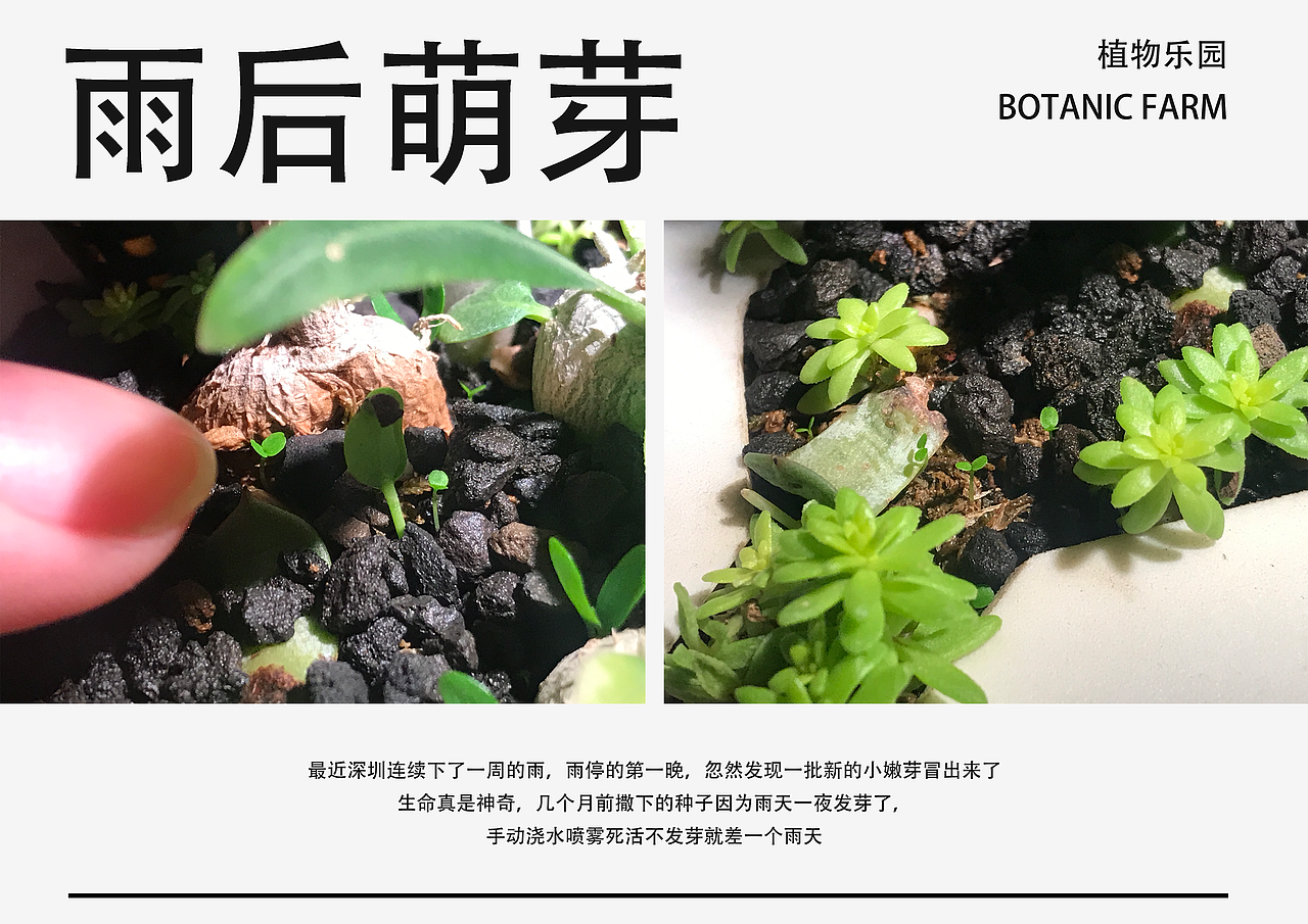 植物房子（图ZMzIxNzUwNzYw） - 生活用品 - 站酷设计师小红帽大俊原创素材 - 站酷ZCOOL