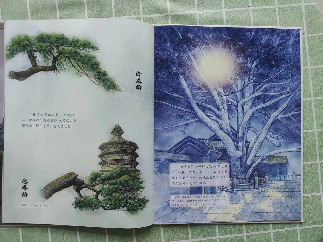 我画绘本《潭柘寺戒坛寺》出版了(3)