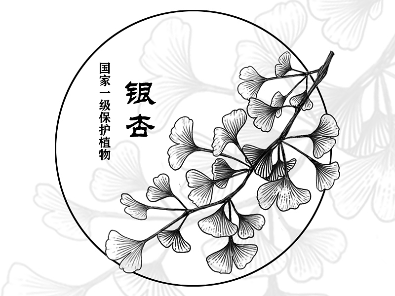 国家濒危保护物种——植物篇