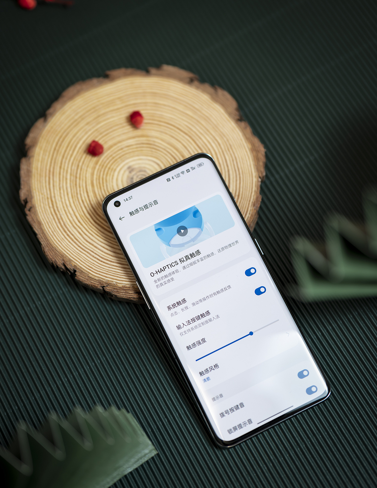 一加11 新春图赏