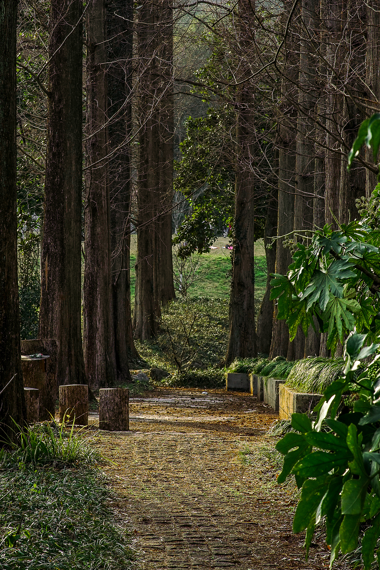 城市风貌系列6（图ZMzYzMTQ2MjUy） - 风光摄影 - 站酷设计师莫潘原创素材 - 站酷ZCOOL