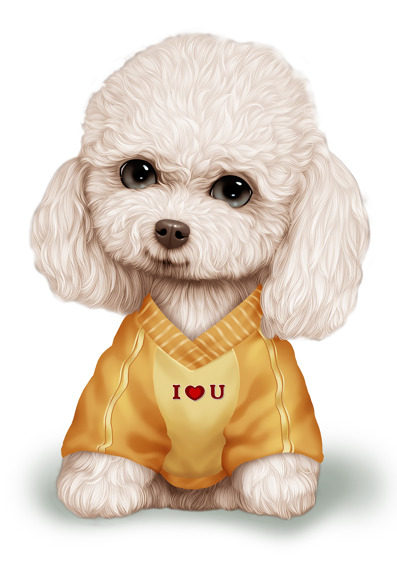 萌宠系列43---泰迪