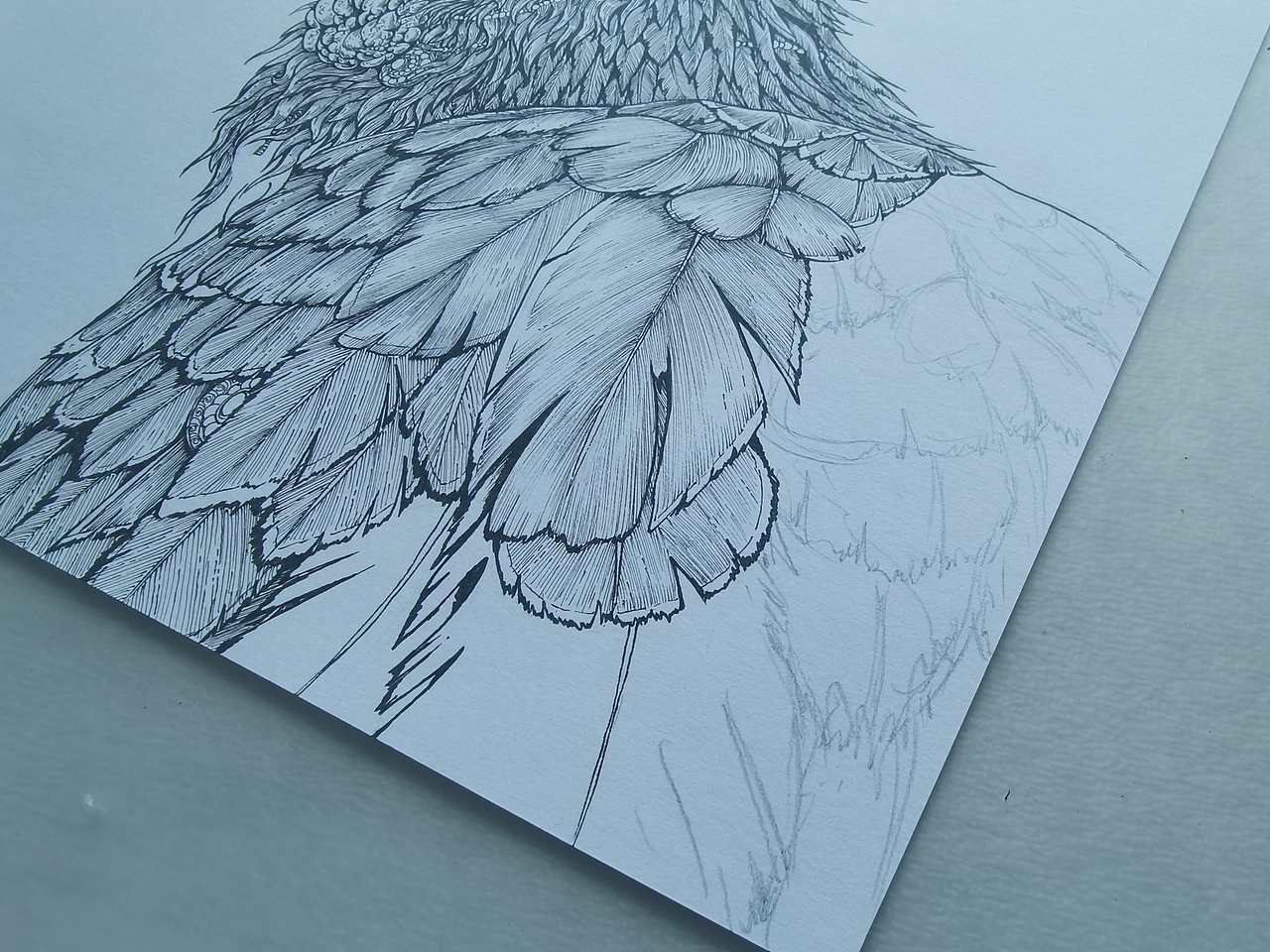 2024.05.15毣柞山海-北山经-蔓联山-䴔