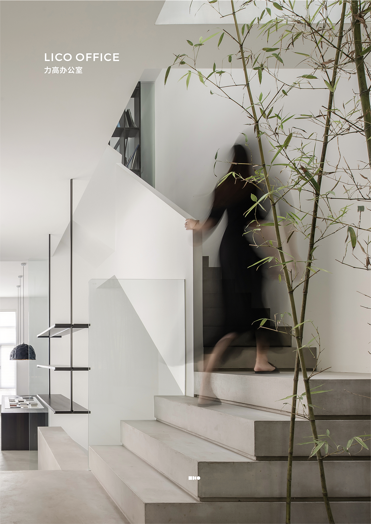 DRD I LICO力高设计客户帮助指南