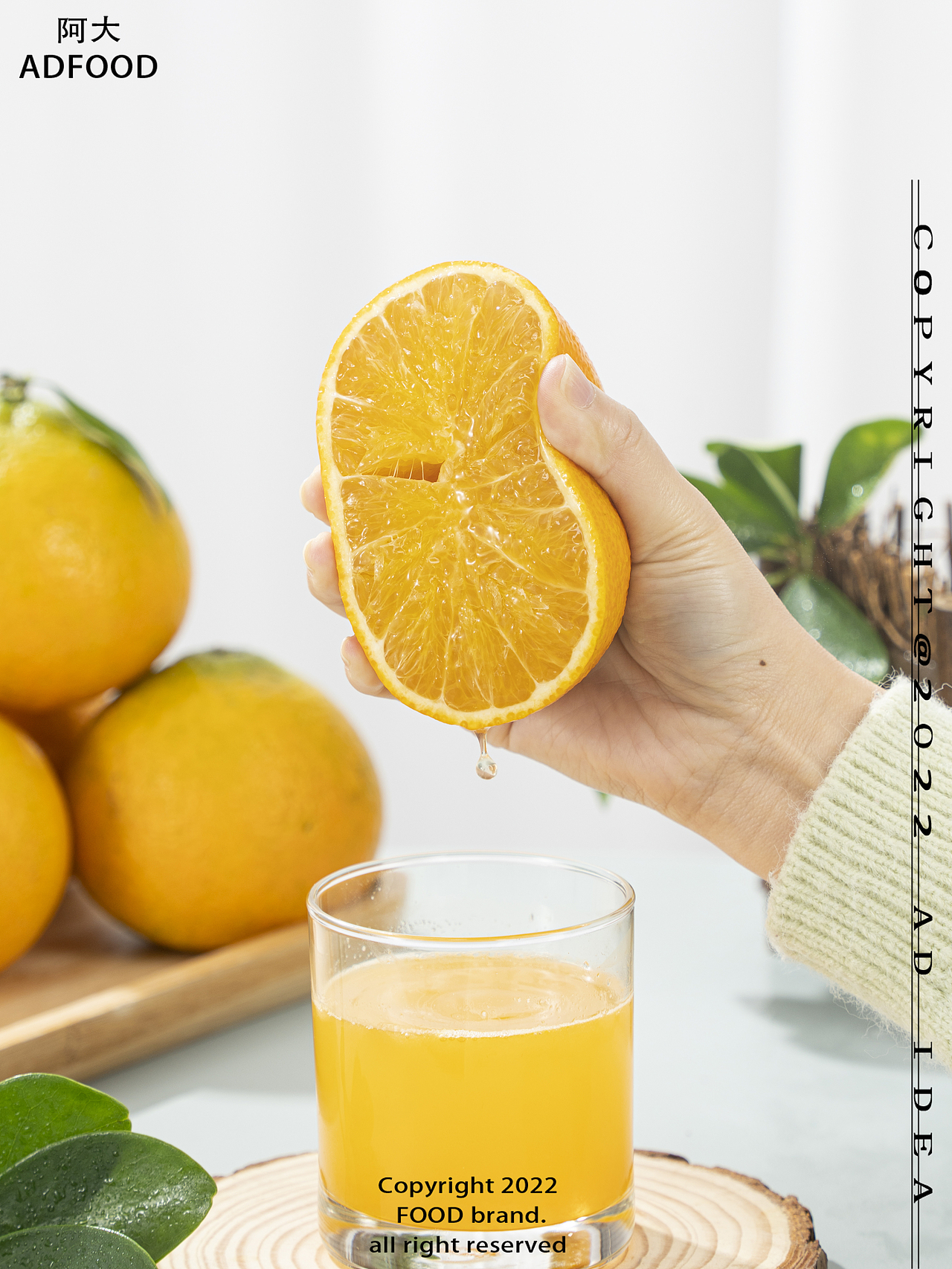 三农爱媛橙子一组