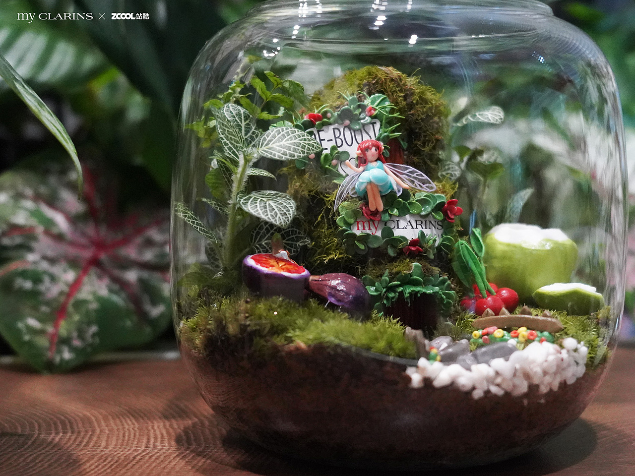 「好食肌长绽放」空瓶改造丨植愈精灵小屋 微景观