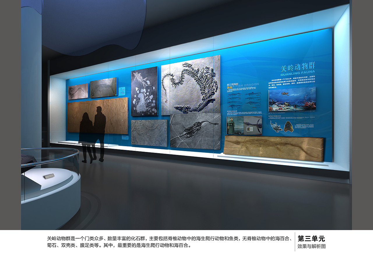 海洋展厅立面展示