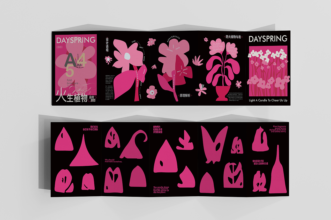 宣传折页 | 粉黑视觉艺术类折页 | 简约高级排版设计（图ZMzQwNjgxMjYw） - 宣传物料 - 站酷设计师is_vvya原创素材 - 站酷ZCOOL