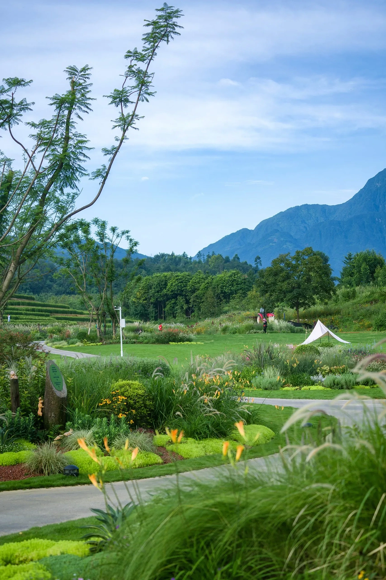 【案例分享】峨眉·高桥小镇