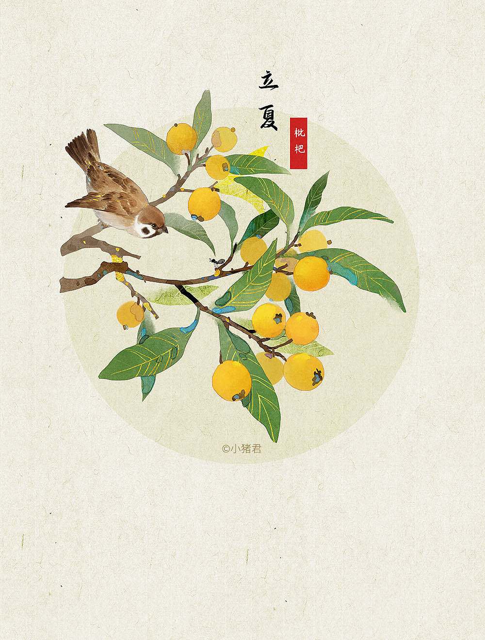 收获的节气系列——春夏