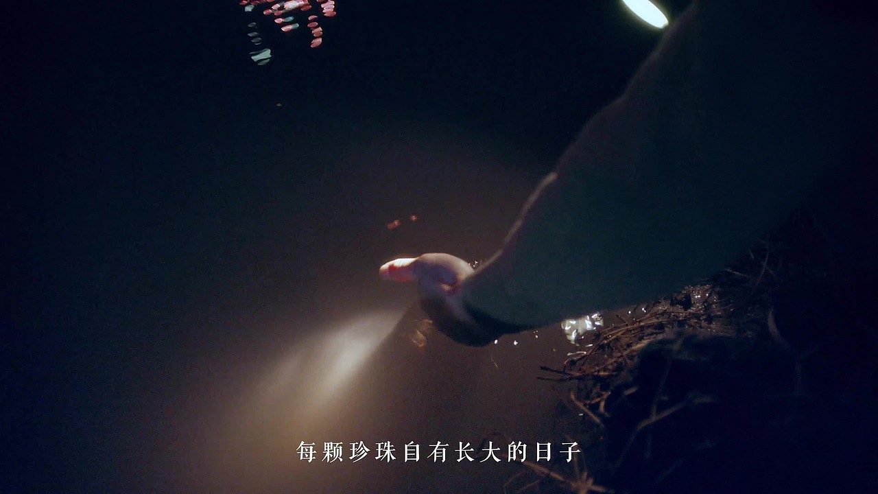 欧诗漫 三八节品牌传播视频|《一封珍珠爷爷的回信》