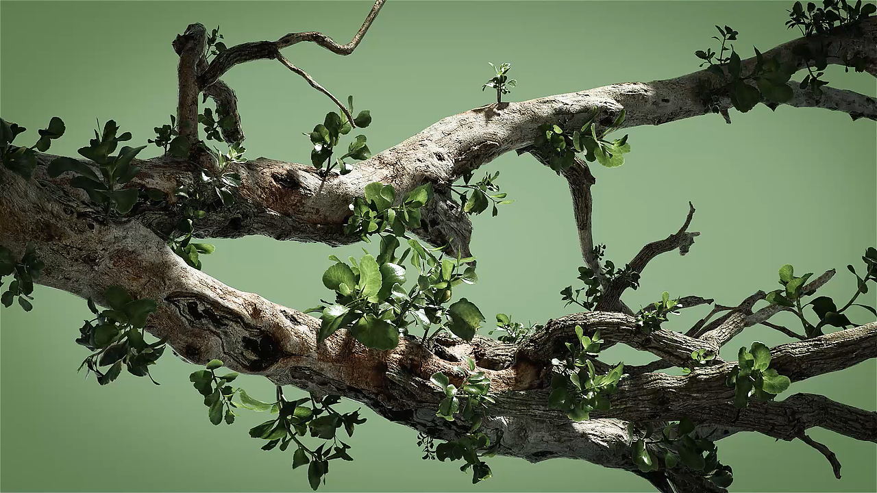 音箱产品动画设计（图ZMzI0MDY5NzA0） - 动画/影视 - 站酷设计师黄永斌原创素材 - 站酷ZCOOL