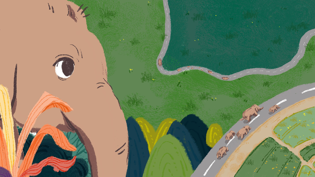 《万象回春》mg动画（图ZMzEyNTI0NjQ0） - 其他动漫 - 站酷设计师布行猫原创素材 - 站酷ZCOOL