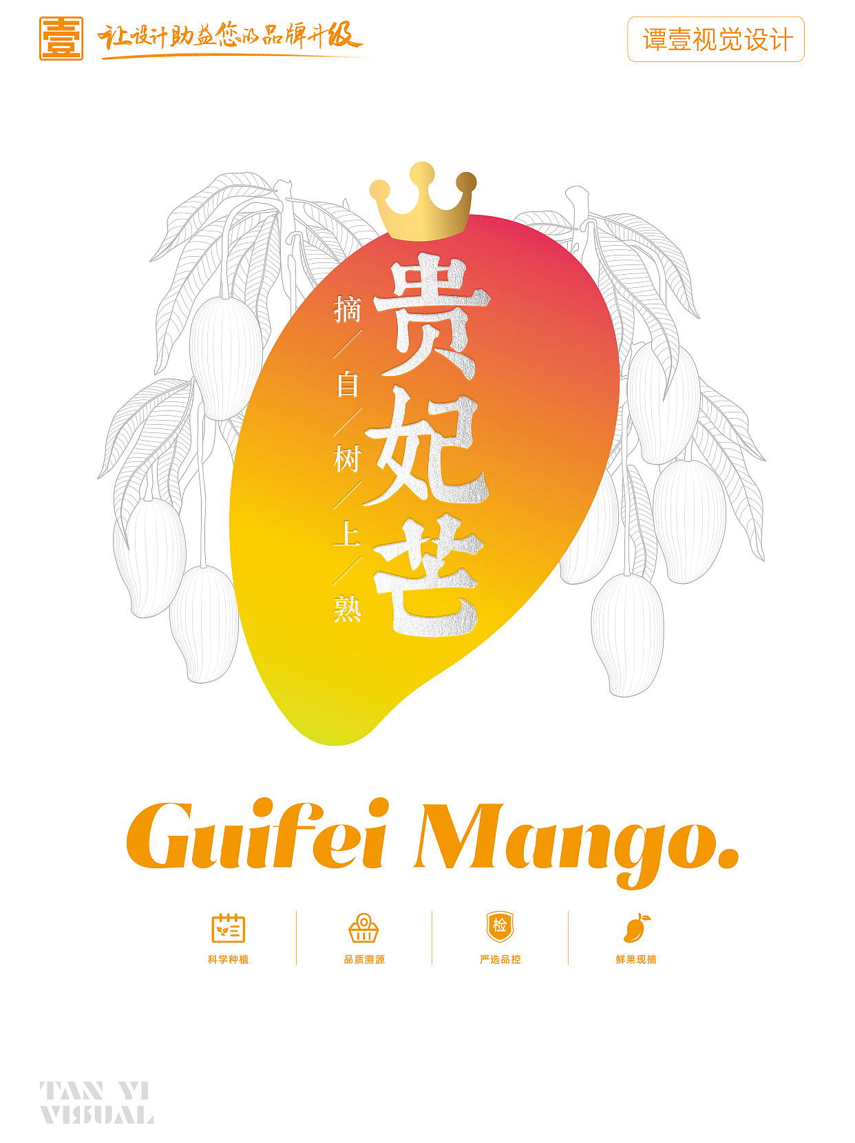 包装 水果包装 贵妃芒芒果包装