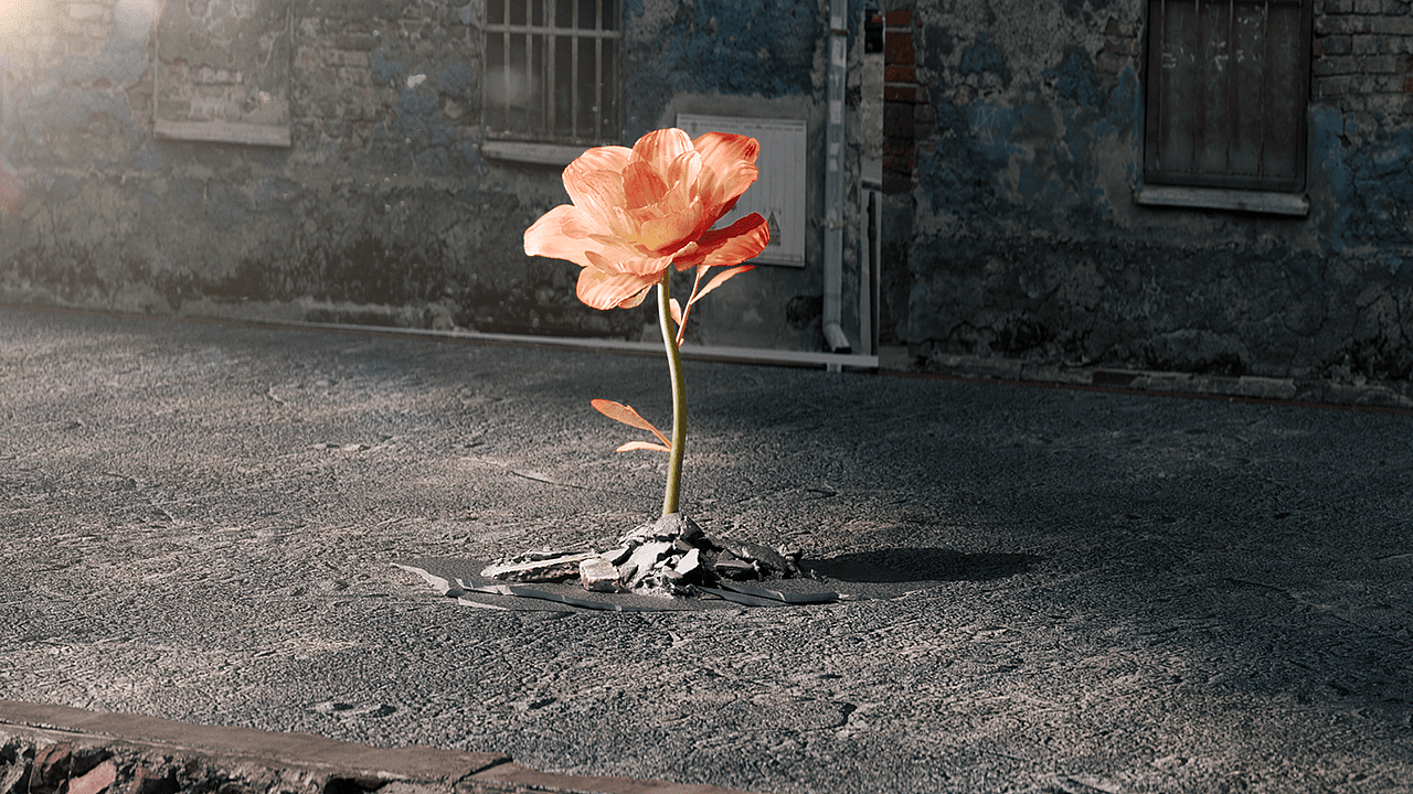 光良酒2023发布会（图ZMzM5MzMwMjQw） - Motion Graphic - 站酷设计师銳客原创素材 - 站酷ZCOOL