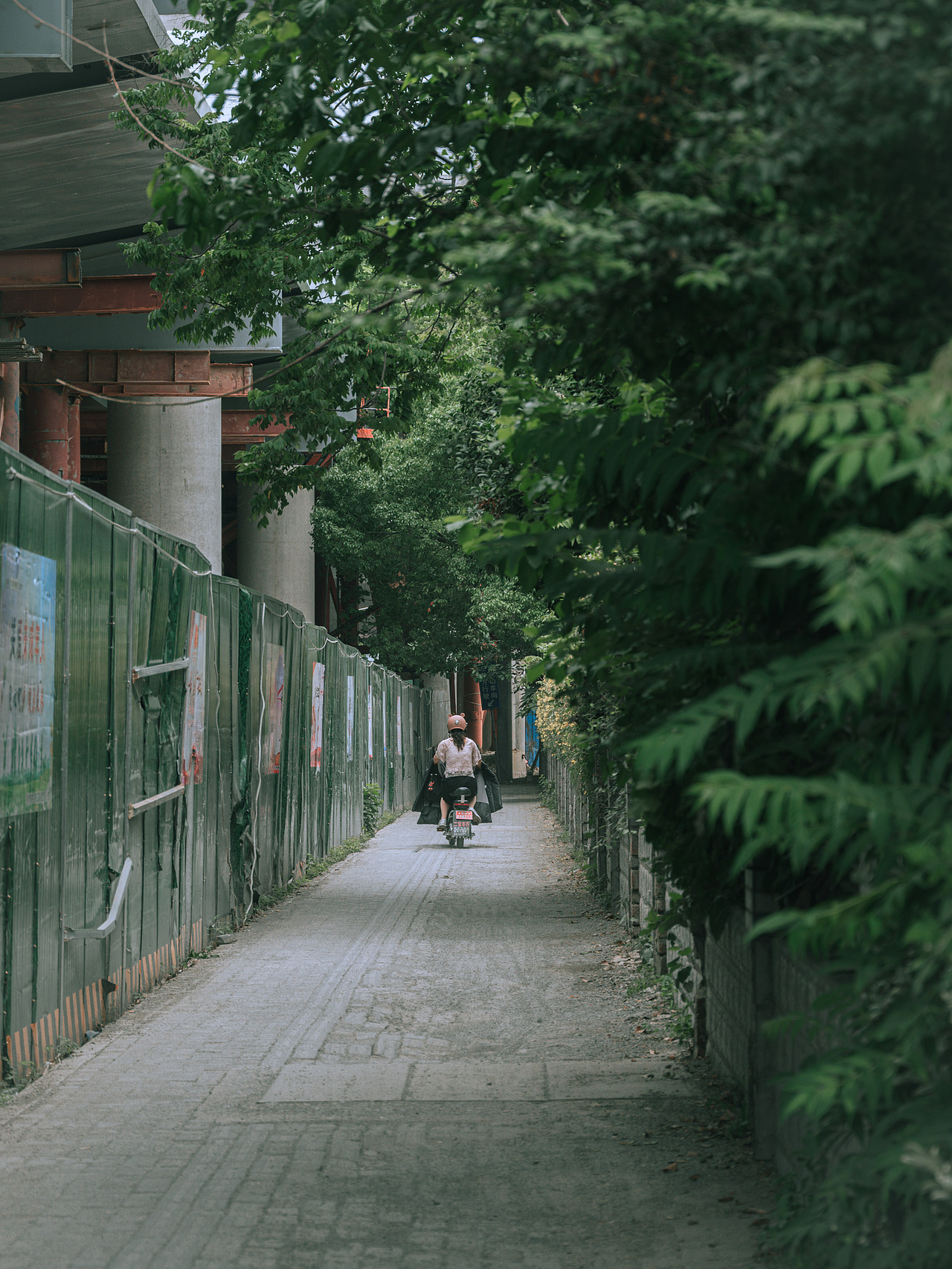 日常记录-我的城市