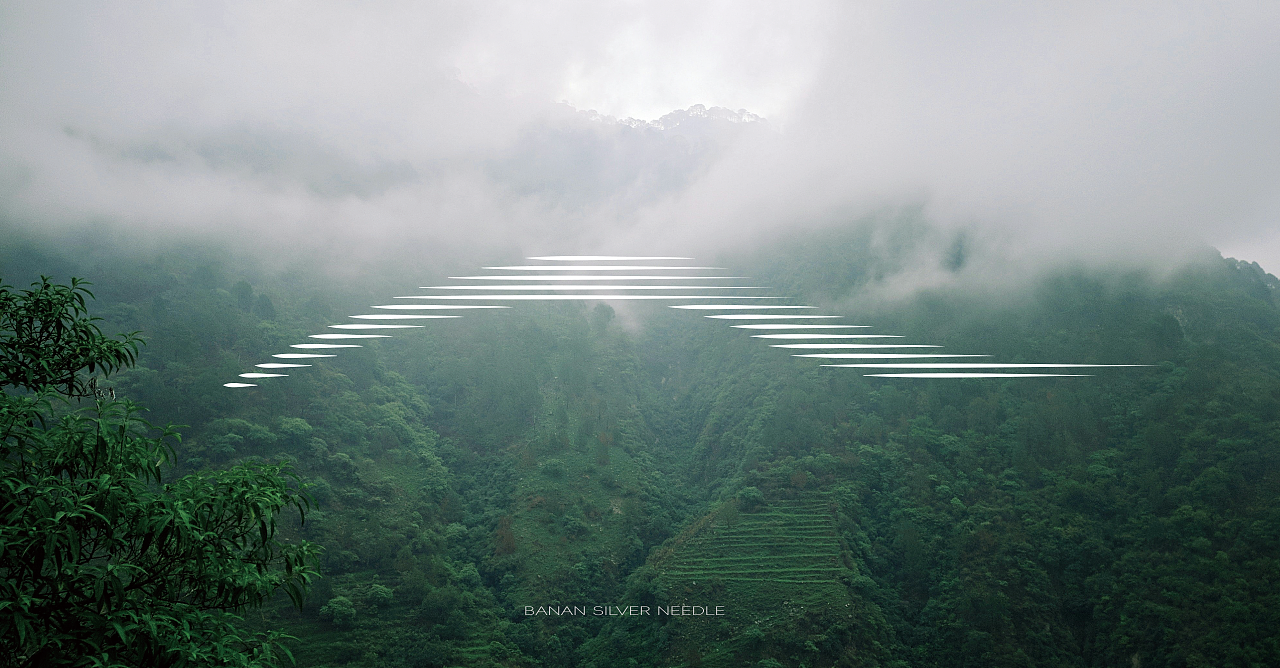 巴南银针-茶包装设计（银色线条贯穿包装设计）（图ZMzY5MDY0MTMy） - 包装 - 站酷设计师这里设计原创素材 - 站酷ZCOOL