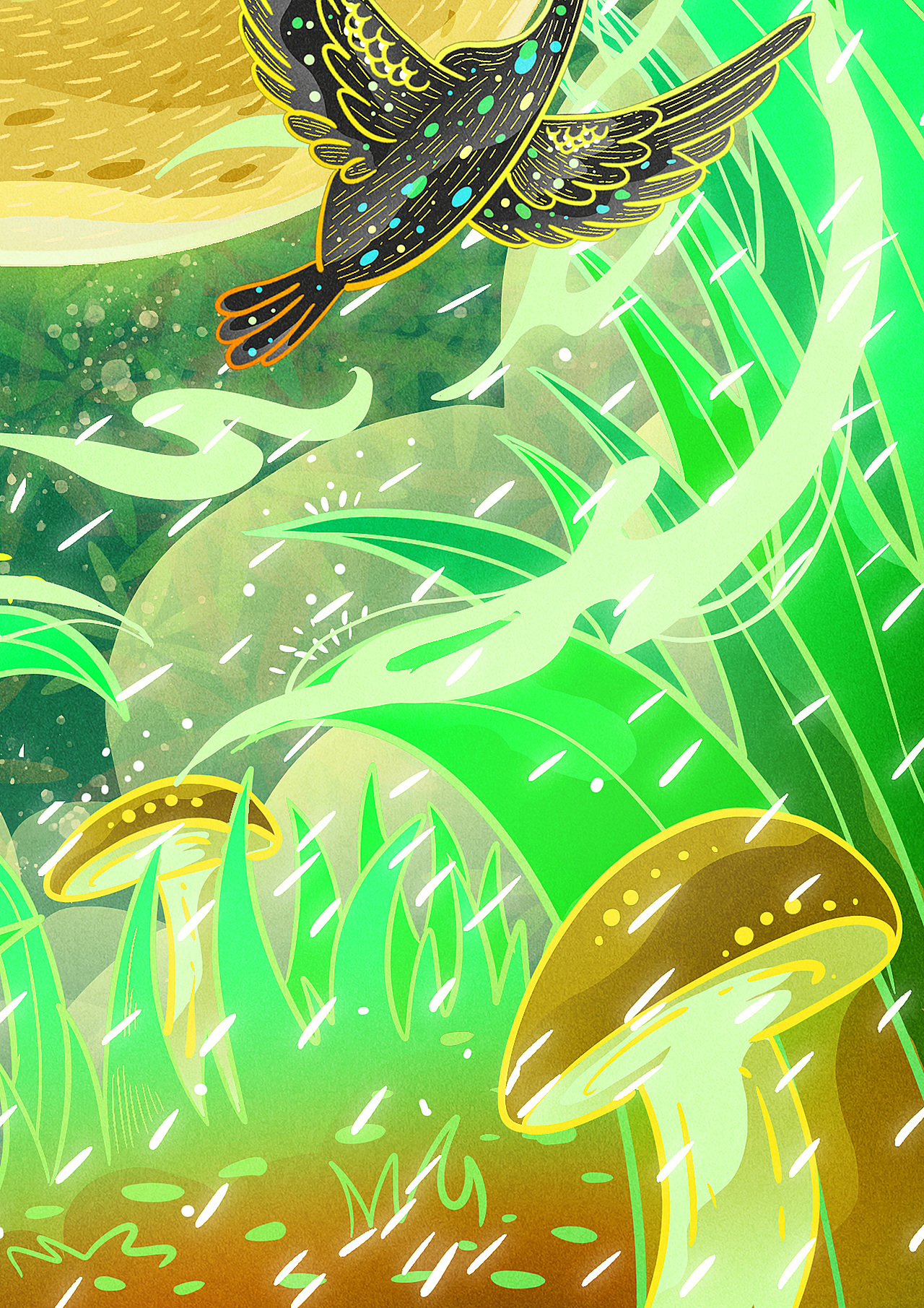 《二十四节气》系列——雨水