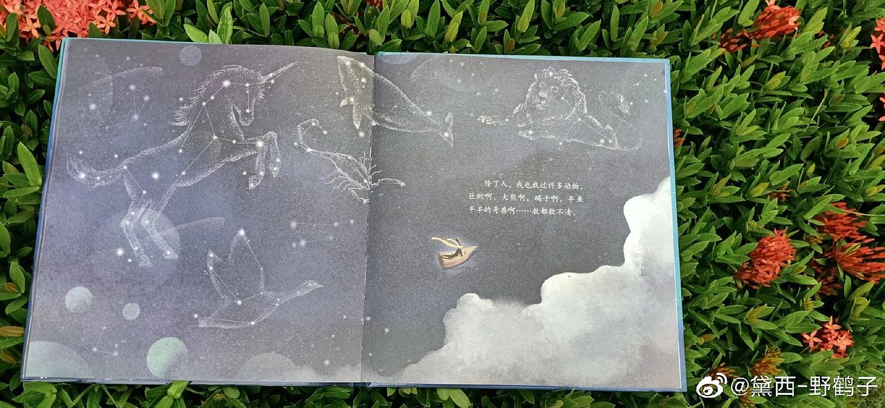 银河摆渡人，出版了（图ZMzA0NTQyODMy） - 绘本 - 站酷设计师黛西野鹤原创素材 - 站酷ZCOOL