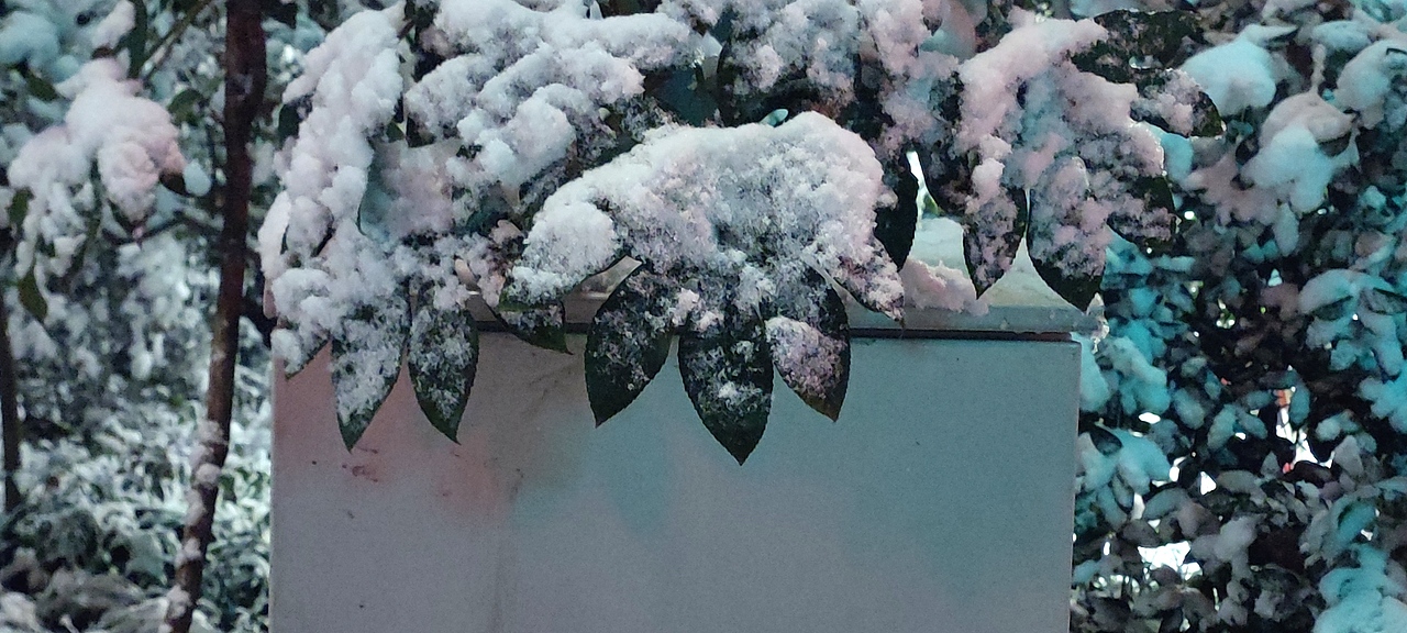 夜晚的中山陵雪景