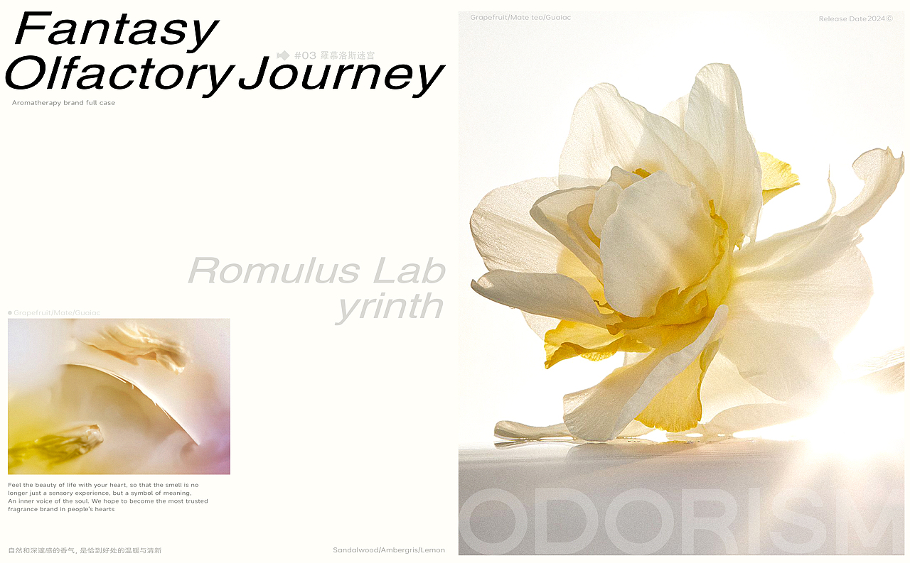 ODORISM气味主义® | 香薰包装 | 西方意境的神秘薰香