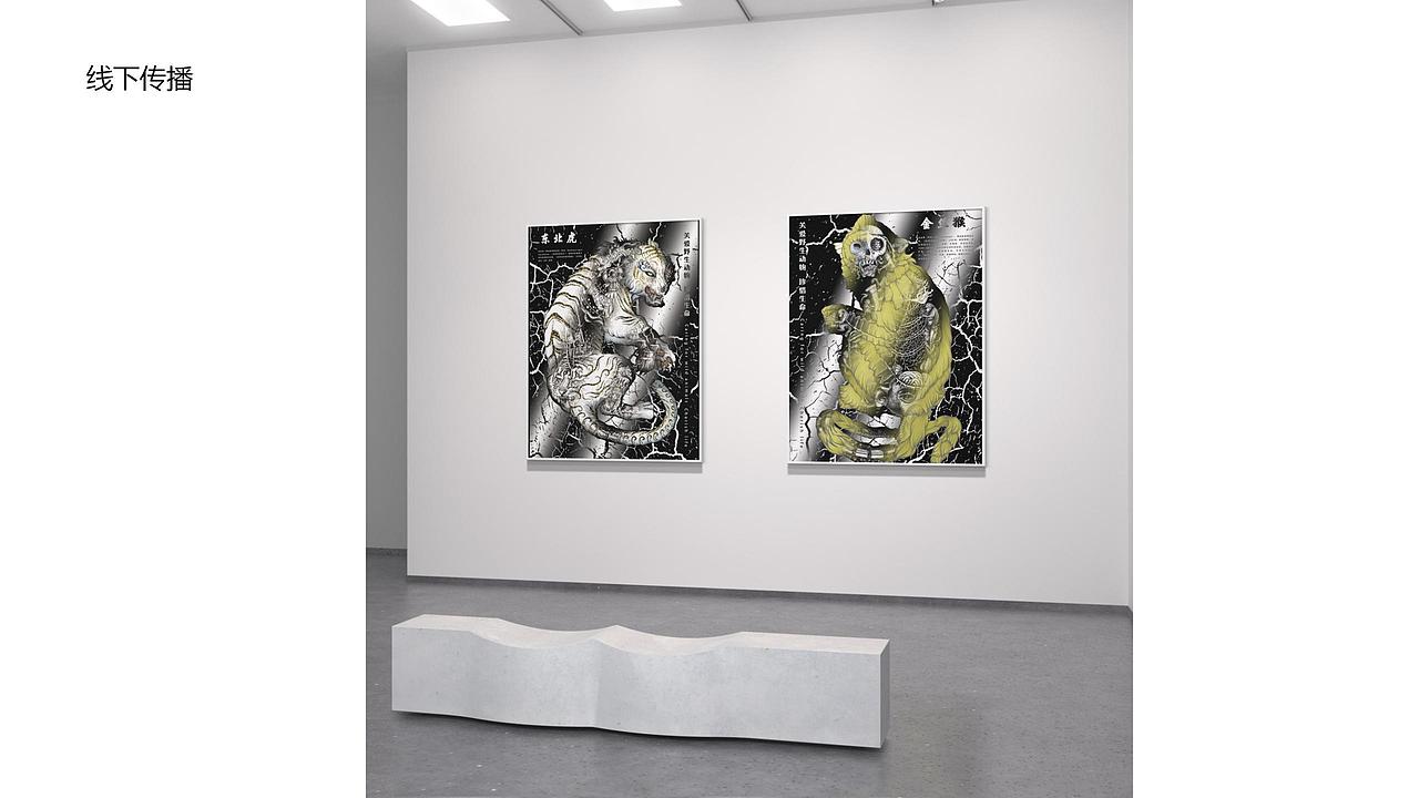 保护野生动物动态公益海报实验设计与探究