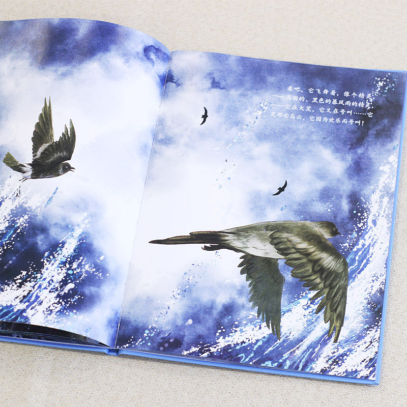 大家小绘-高尔基《海燕》绘本