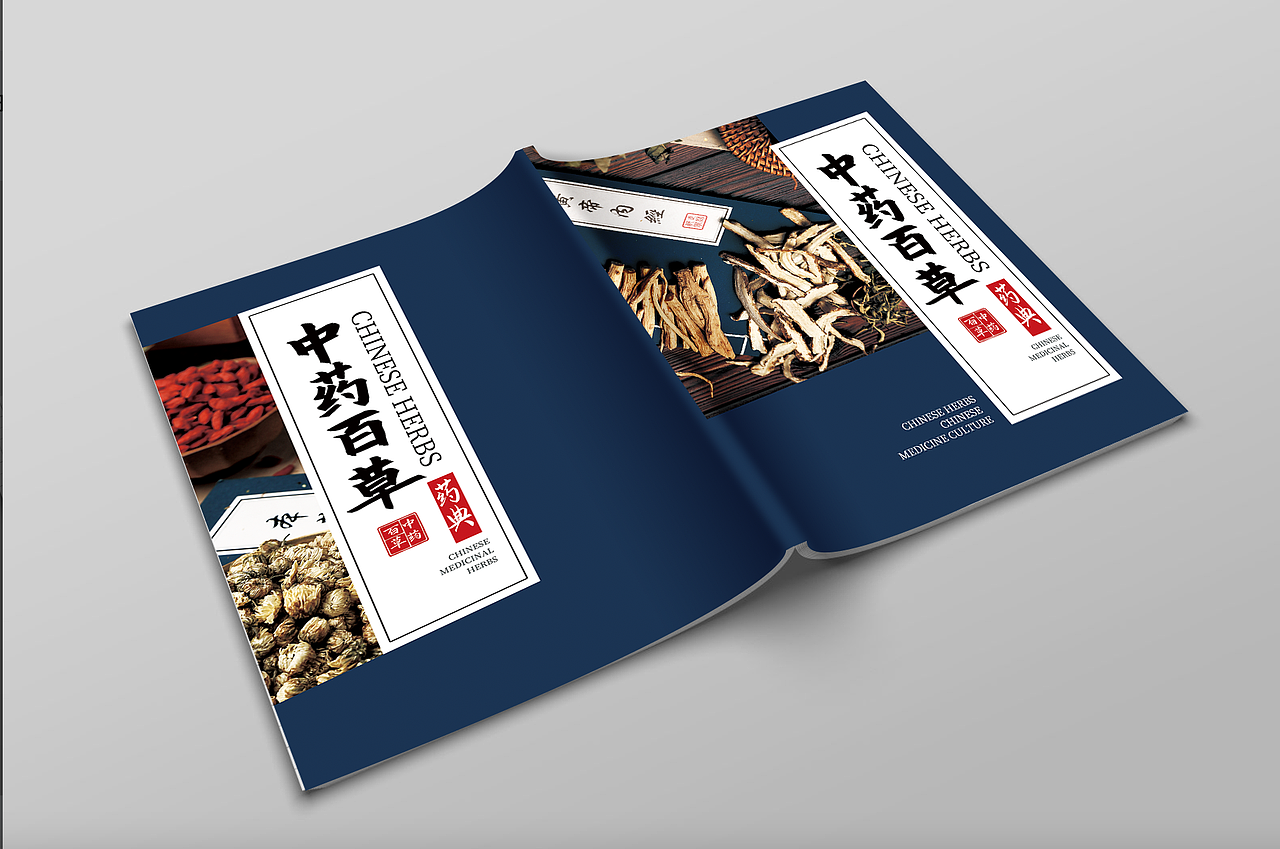 中药画册（图ZMzQ3MDMwMjM2） - 书籍/画册 - 站酷设计师686868王小真原创素材 - 站酷ZCOOL