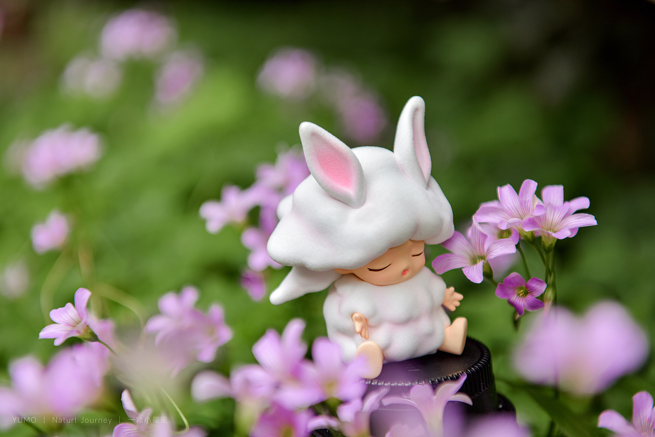 为每一朵春天的小花歌唱