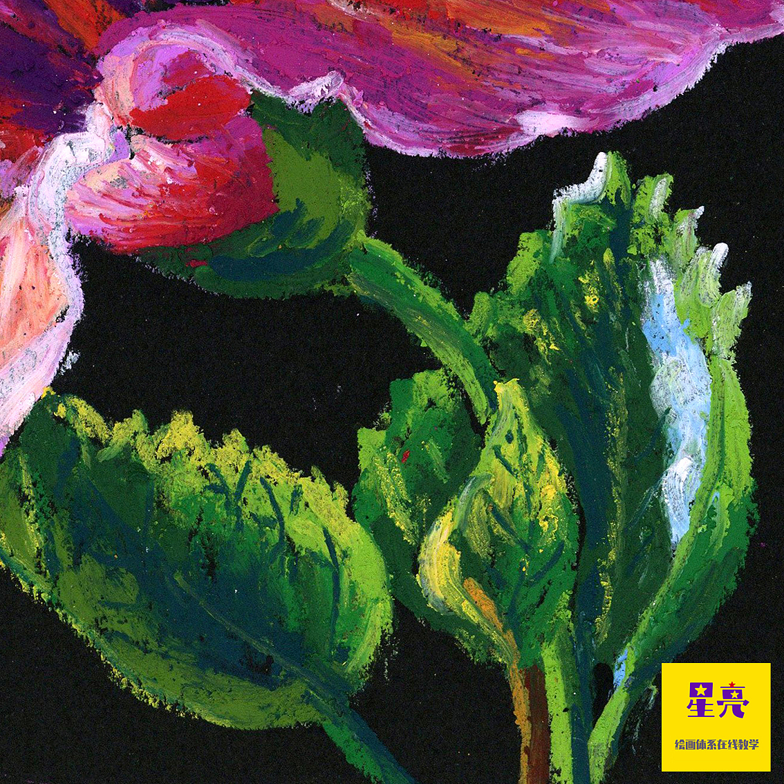 扶桑花绘画（图ZMzIxODU0OTY0） - 绘画 - 站酷设计师星亮绘画art原创素材 - 站酷ZCOOL