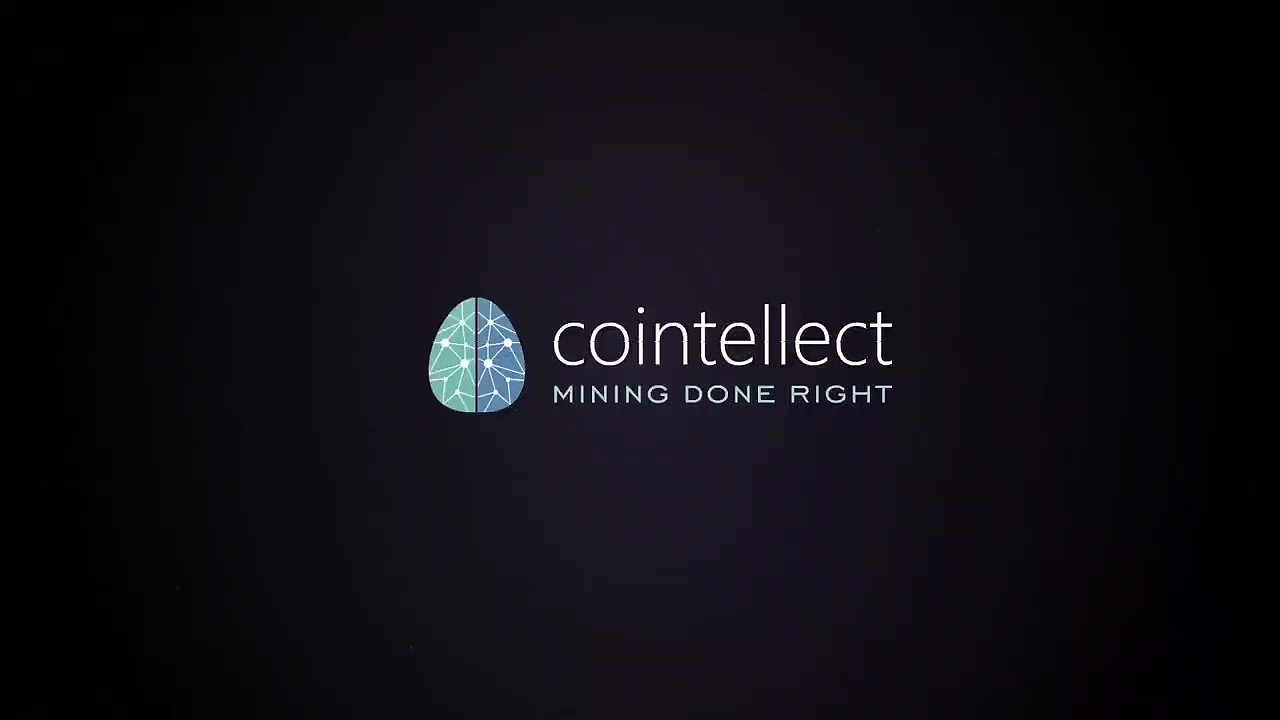cointellect 宣传
