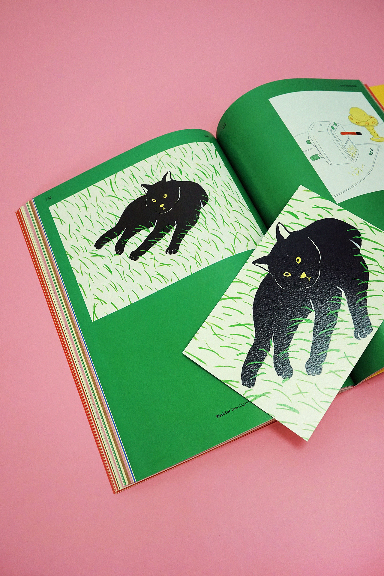 BranD ISSUE 67 从插画家到艺术家：现在就画！