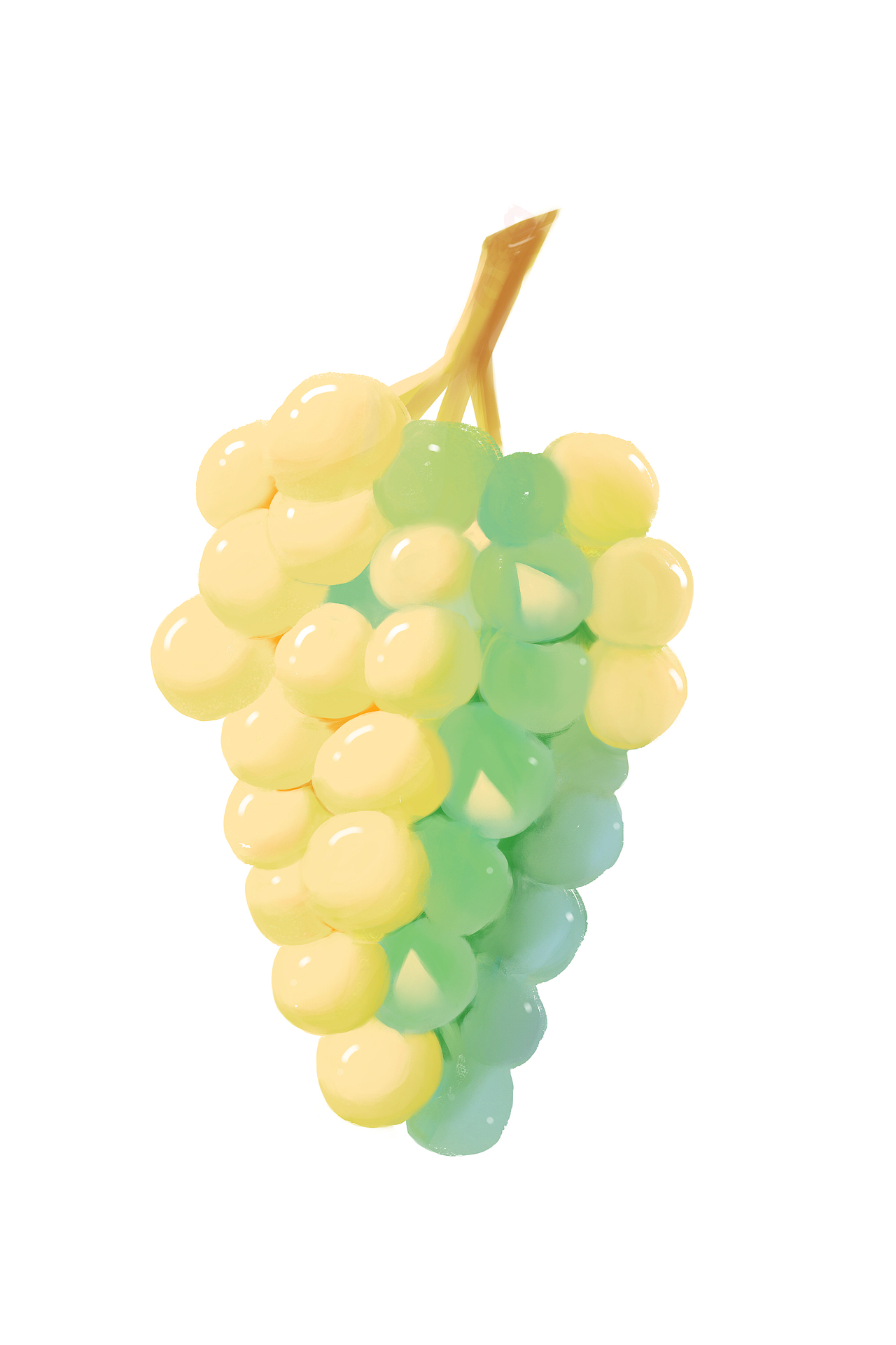 临摹老师画的葡萄