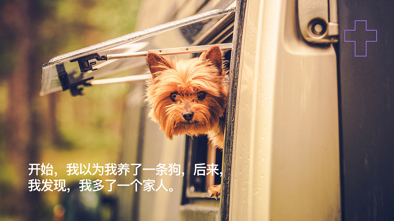 倍珍保-防愈VI 系统升级（图ZMzQwNzE0MDYw） - 品牌 - 站酷设计师末耳原创素材 - 站酷ZCOOL