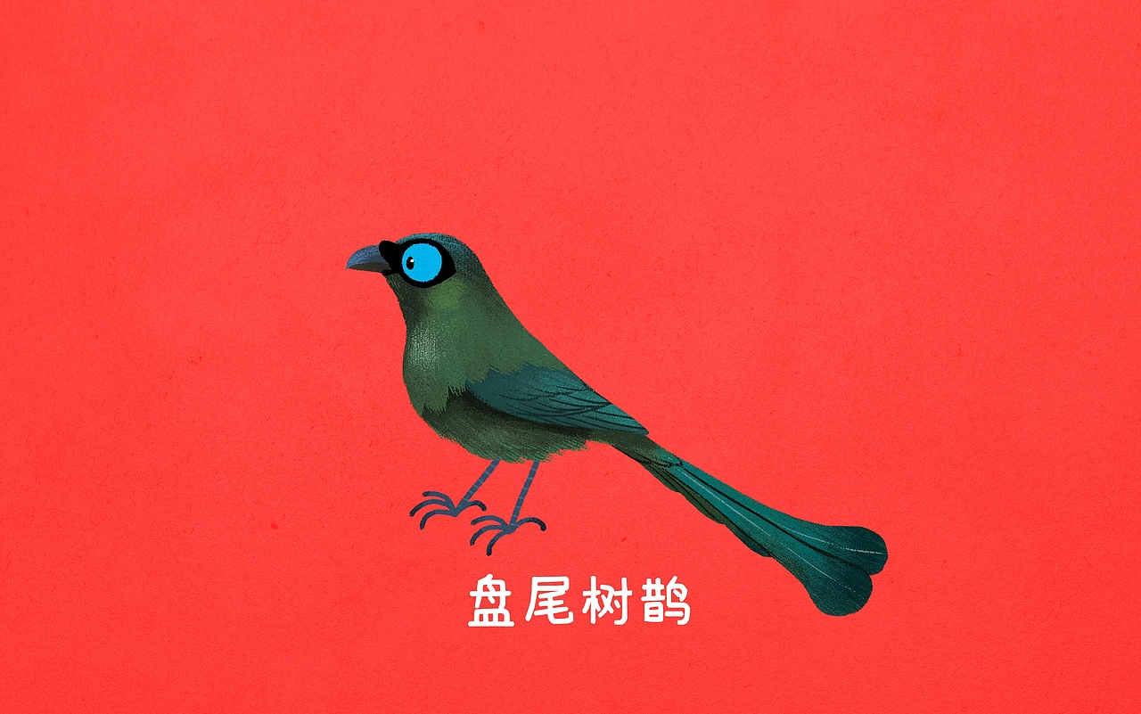 几种不同的“鹊”