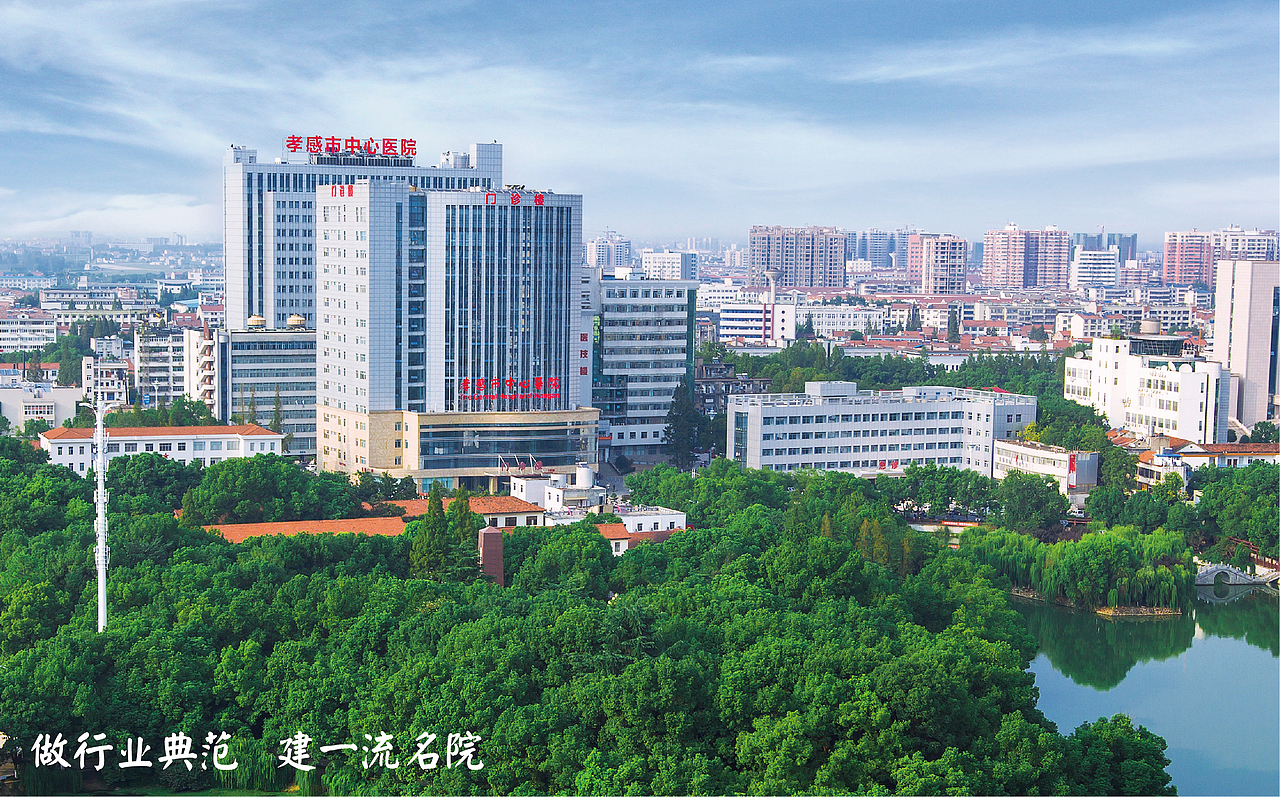 孝感市中心医院 I 公立医院品牌（图ZMzM3MjYzNDMy） - 品牌 - 站酷设计师造像原创素材 - 站酷ZCOOL