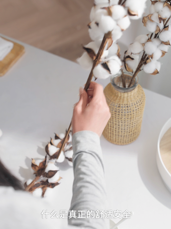 舒莱悬浮芯产品视频(卫生巾)视觉全案升级✖️加号