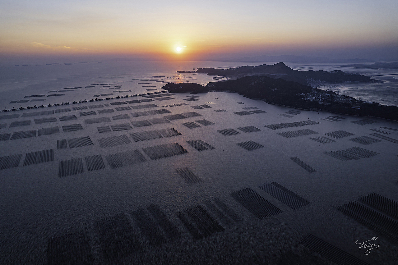 23张照片  代表过去的一年