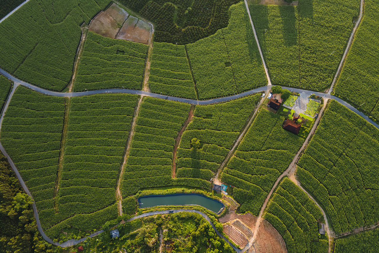 美食摄影 | 鑫荣懋✖ 一方摄影 维多丽蜜柚拍摄